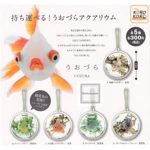 アクアリウムg4 食玩 プライズ カプセルトイ の商品一覧 ゲーム おもちゃ 通販 Yahoo ショッピング