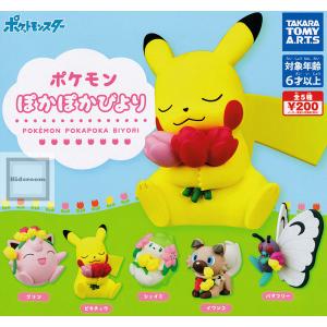 ポケモン ぽかぽかびより 全5種セット