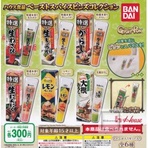 ハウス食品 ペーストスパイス ピンズコレクション 全6種セット