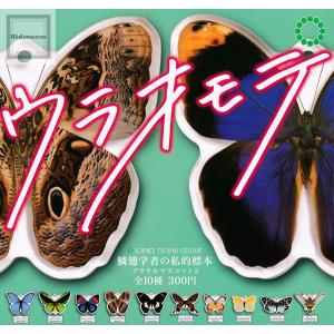 サイエンステクニカラー 鱗翅学者の私的標本アクリルマスコット3