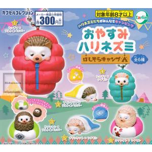 おやすみハリネズミ ほしぞらキャンプ 全6種セット (ガチャ ガシャ コンプリート)｜kidsroom