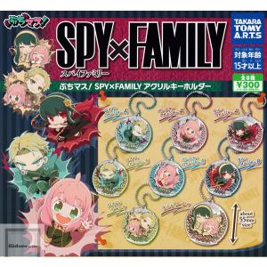 スパイファミリー ぶちマス SPY×FAMILY アクリルキーホルダー 全8種セット