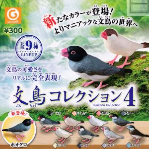 文鳥コレクション4 全9種セット