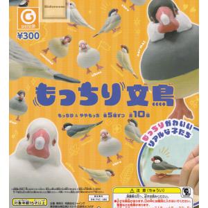 もっちり文鳥 全10種セット (ガチャ ガシャ コンプリート)｜kidsroom