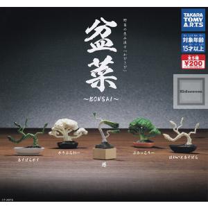 盆菜 〜BONSAI〜 全5種セット (ガチャ ガシャ コンプリート)｜kidsroom