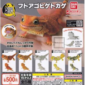 いきもの大図鑑レプティ フトアゴヒゲトカゲ 全5種セット (ガチャ ガシャ コンプリート)｜キッズルーム