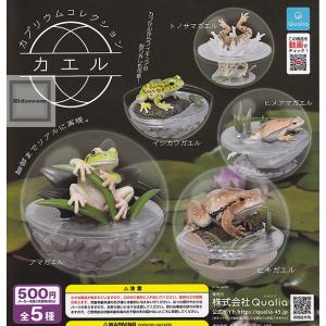 カプリウムコレクション カエル 全5種セット (ガチャ ガシャ コンプリート)の商品画像