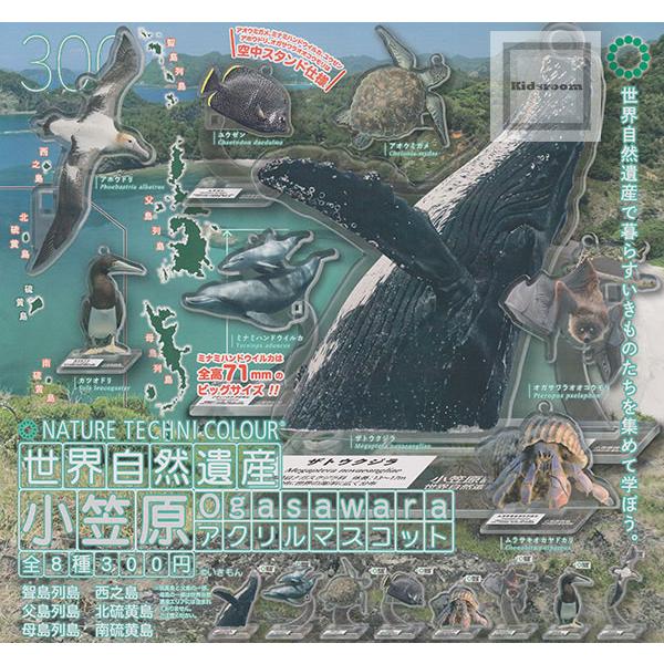 ネイチャーテクニカラー 世界自然遺産 小笠原 アクリルマスコット 全8種セット (ガチャ ガシャ コ...