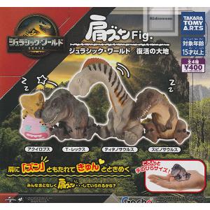 ドラネッツVol.3 飛竜型 全6種セット コンプリート 【在庫品】 : F&S