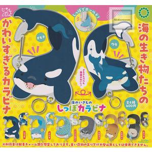 甲虫王者ムシキング ミニチュアカードアクリル4 全10種セット 【2026年