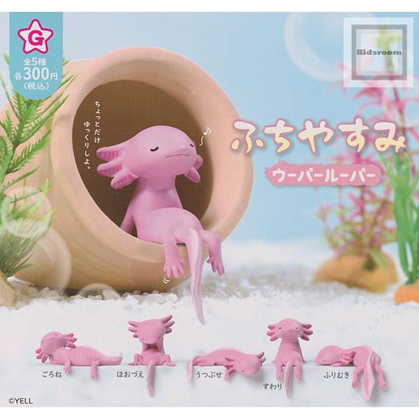 ふちやすみ ウーパールーパー 全5種セット (ガチャ ガシャ コンプリート)