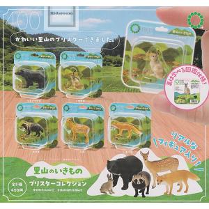 NTC 日本の清流 増補特装版 全6種セット コンプ コンプリートセット