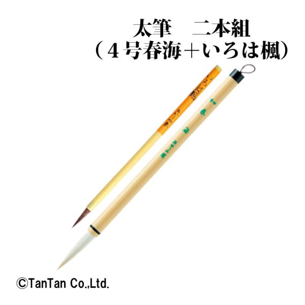 太筆 ２本組 ４号春海 いろは楓 太筆 2本セット 書道教室 習字 男の子 女の子 あかしや ALS...