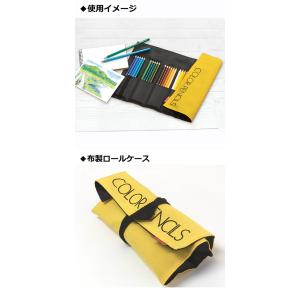 送料込み 色鉛筆 ロールケース入り NQ 24...の詳細画像3