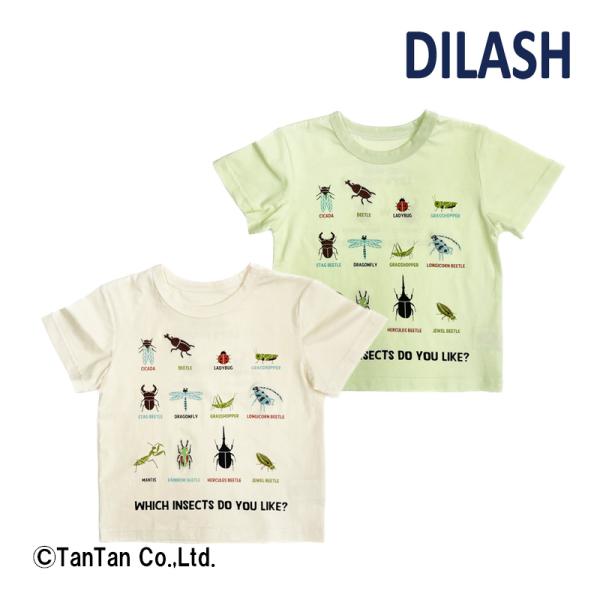 10％OFF ディラッシュ 半袖Tシャツ 男の子 24夏 キッズ 昆虫 図鑑 トップス DILASH...