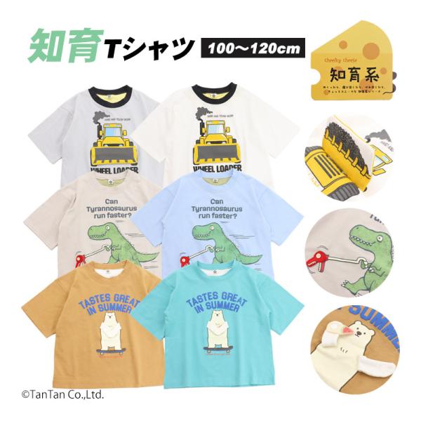 20％OFFセール 半袖Tシャツ 知育 トドラー キッズ 100-120cm 男の子  しろくま は...