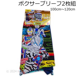 送料無料 ウルトラマンブレーザー プレミアム ボクサーブリーフ2枚組 100cm 110cm 120cm  インナー 肌着 キッズ ウルトラヒーローズ 2024年版｜kidstown-tk