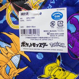 送料無料 ポケモン キルトレッスンバッグ QP...の詳細画像3