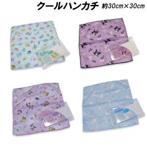 クールハンカチ 冷感 約30cm×30cm ポー...の商品画像