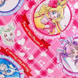 送料無料 キミとアイドルプリキュア レッスンバ...の詳細画像3