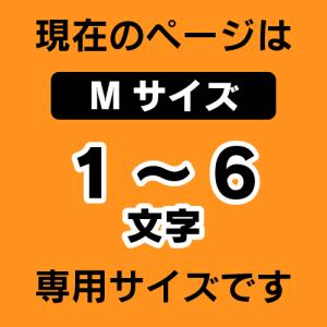 【 Mサイズ :1〜6文字まで 】オーダー ネ...の詳細画像1