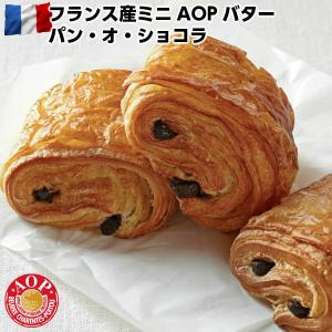LE FOURNIL DE PIERRE フランス ル・フルニル・ドゥ・ピエール製ミニAOPバター　パン　オ　ショコラ