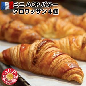 LE FOURNIL DE PIERREフランス産ル・フルニル・ドゥ・ピエール製AOPバターミニクロワッサン