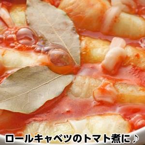 チーズの王様パルミジャーノレッジャーノ100%...の詳細画像3