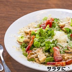 チーズの王様パルミジャーノレッジャーノ100%...の詳細画像4