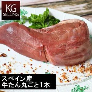 【不定貫】欧州産（スペイン）牛舌１本丸ごとブロック　733円/100gあたり beef tongue from spain grup vinas