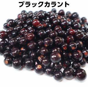 ブラックカラント（黒すぐり）　カシス　冷凍フルーツ250g　無添加　無着色　業務用