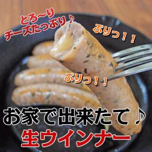 国産那須豚使用 本場ドイツ製法 ベールラオフと...の詳細画像1