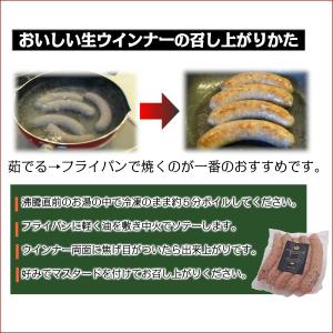 国産那須豚使用 本場ドイツ製法 ベールラオフと...の詳細画像4