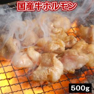 国産牛ホルモン　牛シマチョウ500g　ホルモン　和牛　大腸　モツ　てっちゃん　肥腸