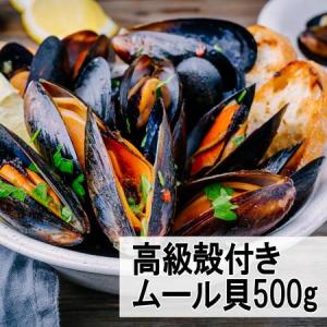 殻付ムール貝 500g×1袋【冷凍便】ムール貝　殻付き　パ...