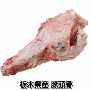 豚骨様　確認用 豚骨様確認用