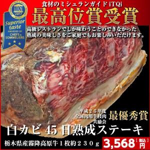 熟成肉 ステーキ 牛肉 ブロック 赤み 霜降り お取り寄せ