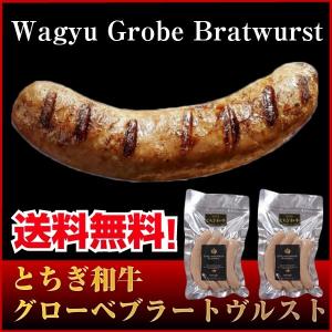 肉 ギフト 父の日 お中元 詰め合わせ 送料無料 Gift 最上級とちぎ和牛グローベブラートヴルスト