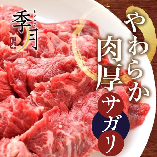 牛肉 バーベキュー BBQ 焼肉 やわらか厚切り サガリ 500g