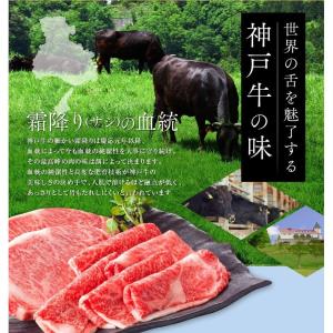 神戸牛 牛肉 肉 和牛 A5等級 極撰クラシタ...の詳細画像2