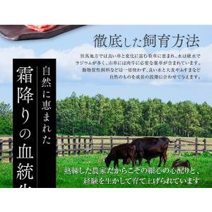 神戸牛 牛肉 肉 和牛 A5等級 極撰クラシタ...の詳細画像3