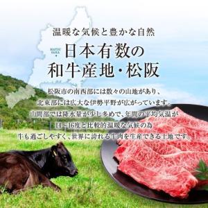 松阪牛 牛肉 肉 和牛 A5等級 極上クラシタ...の詳細画像2