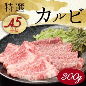 焼肉 盛り バーベキュー 黒毛和牛 A5等級 特選カルビ盛り合わせ 300g