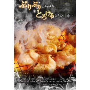 ホルモン 焼肉 バーベキュー BBQ 肉 牛肉...の詳細画像2