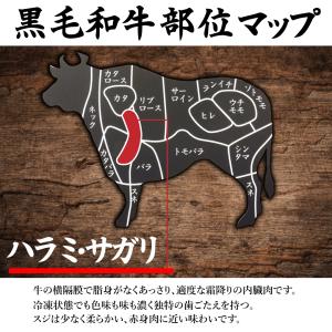 焼肉 BBQ 黒毛和牛 ハラミ サガリ 300...の詳細画像1