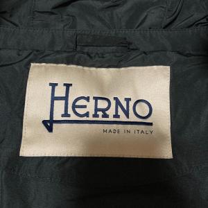 美品 25SS HERNO ヘルノ フード付き...の詳細画像5