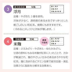 送料無料 1000円ポッキリ きごころ 和紅茶...の詳細画像4