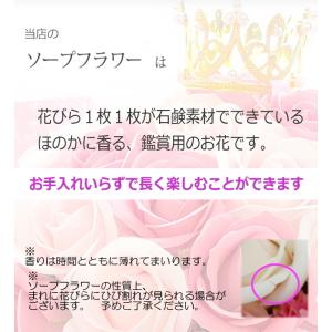 母の日 ソープフラワー ケース入り バラ レイ...の詳細画像4