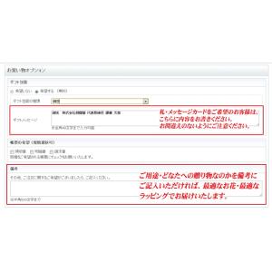 洋蘭おまかせ50,000円の詳細画像3