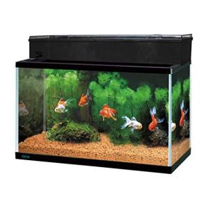 60cmスリム水槽セット アクリル水槽 の商品一覧 水槽 熱帯魚 アクアリウム用品 ペット用品 生き物 通販 Yahoo ショッピング